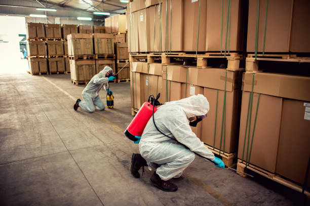 Best Pest Removal Services  in Solana Beach, CA
