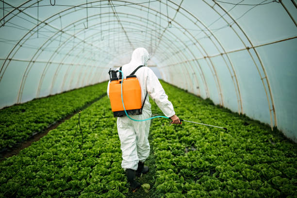 Best Emergency Pest Control  in Solana Beach, CA
